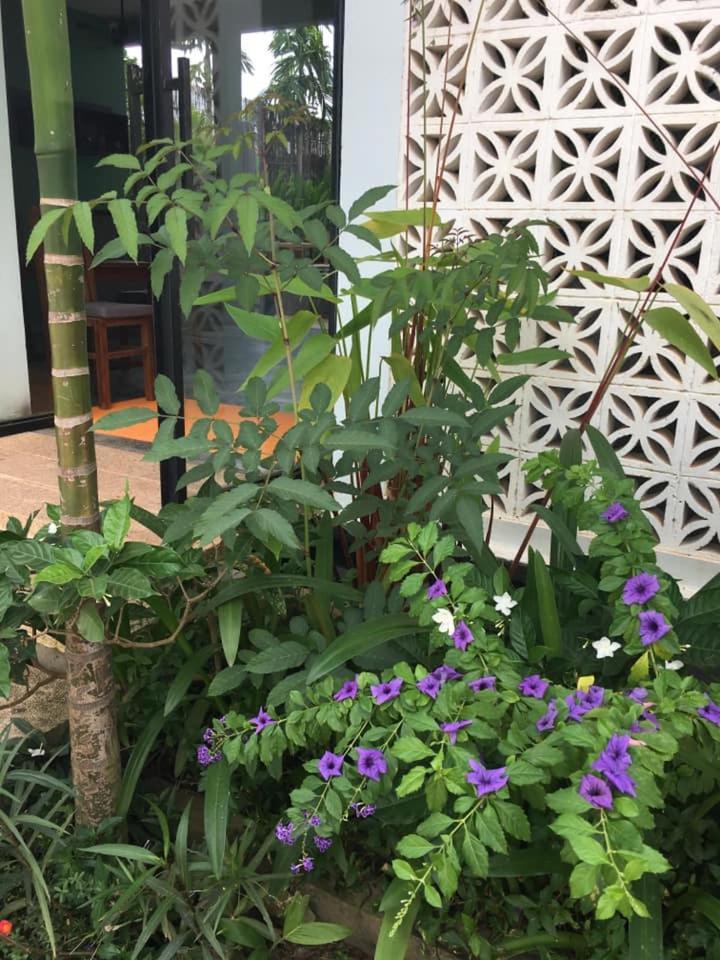 Villa D'Orange Siem Reap Zewnętrze zdjęcie