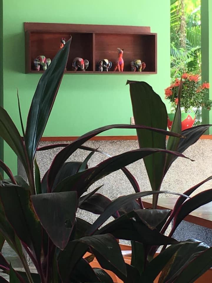Villa D'Orange Siem Reap Zewnętrze zdjęcie