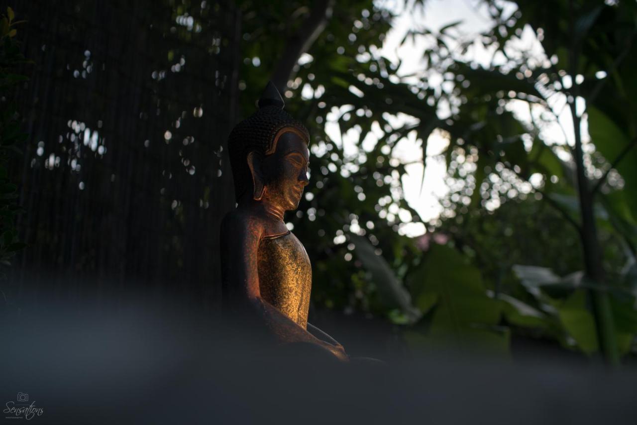 Villa D'Orange Siem Reap Zewnętrze zdjęcie